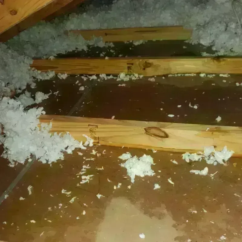 Attic Water Damage in Logan County, KY